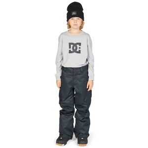DC ‘Banshee’ Ski Snowboard Pants
